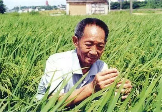 一日三餐，米香彌漫，飽食者當(dāng)憶袁公！