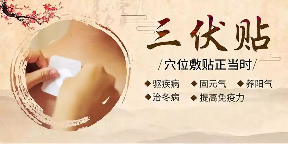 關(guān)于三伏貼，你了解多少呢？